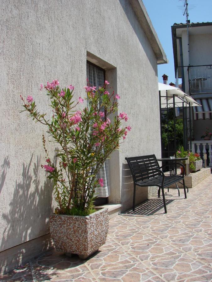 Viktor Rooms And Apartments Rovinj Dış mekan fotoğraf