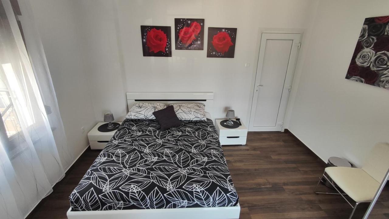 Viktor Rooms And Apartments Rovinj Dış mekan fotoğraf