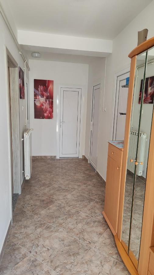 Viktor Rooms And Apartments Rovinj Dış mekan fotoğraf